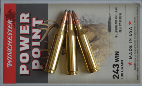 .243 Winchester