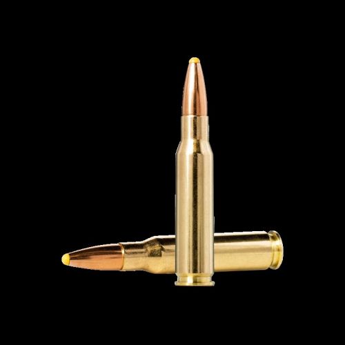 Патрони за карабина NORMA.308Win.SILENCER ECOSTRIKE 9.7g/150gr