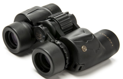 Leupold Бинокъл BX-1 Yosemite 10X30 Black  | 117981