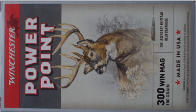 .300 Winchester Magnum