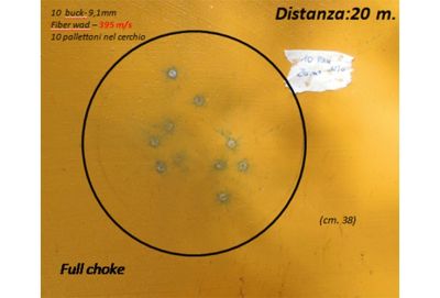 Big Game Palletoni 45g 10P 12/0-Ni 12/20/70