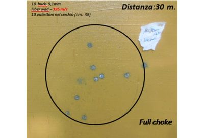 Big Game Palletoni 45g 10P 12/0-Ni 12/20/70