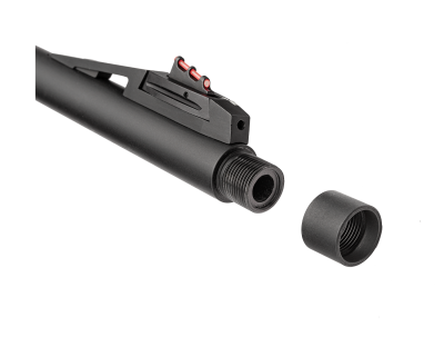 Winchester SXR2 Composite MG4 DBM 308Win