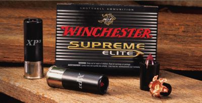 Winchester SLUG SABOT SUPREME  ELITE XP3 12/70 19 5g